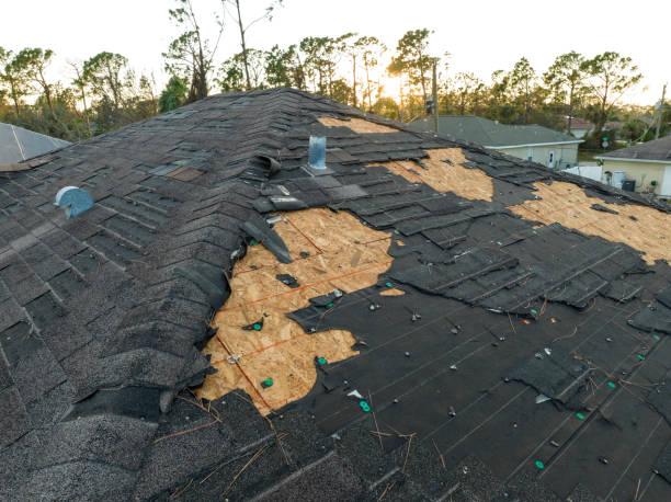 Best Gutter Installation and Repair  in Bunker Hill Village, TX